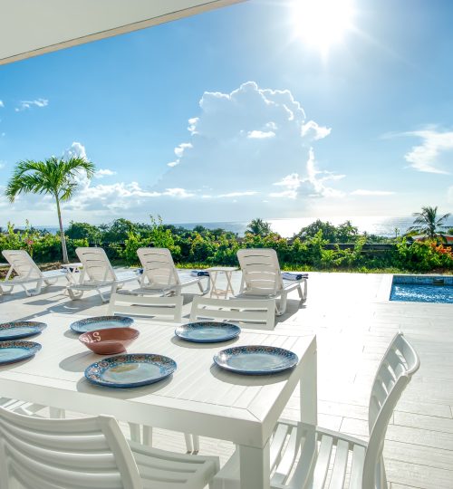 Westmoreland Hills No. 13 – Hummingbird