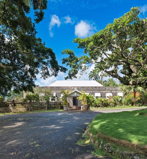 Apes Hill Plantation