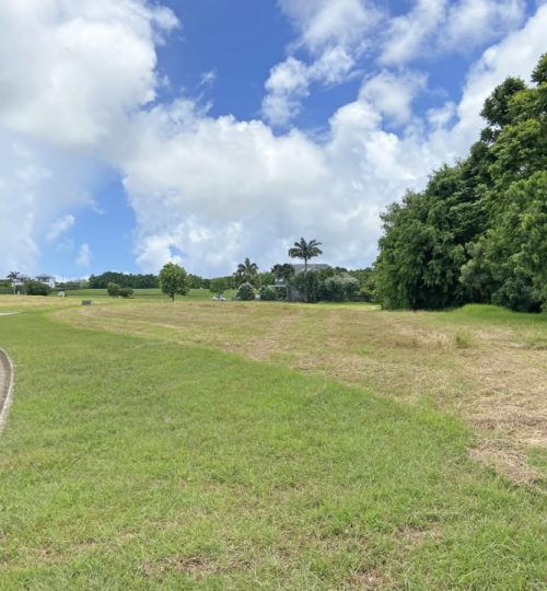 Apes Hill Polo Estate – Lot 4