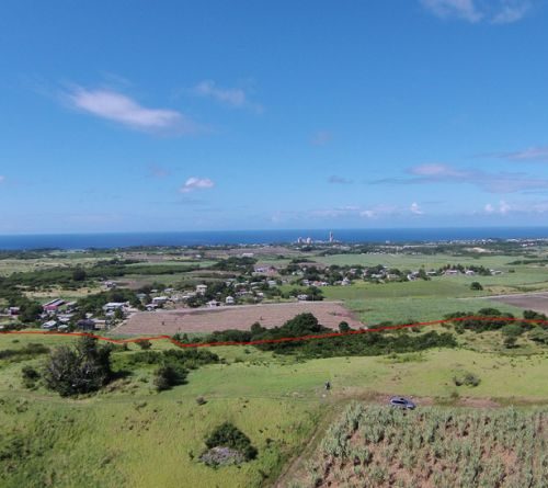Lands of Mount Gay Plantation
