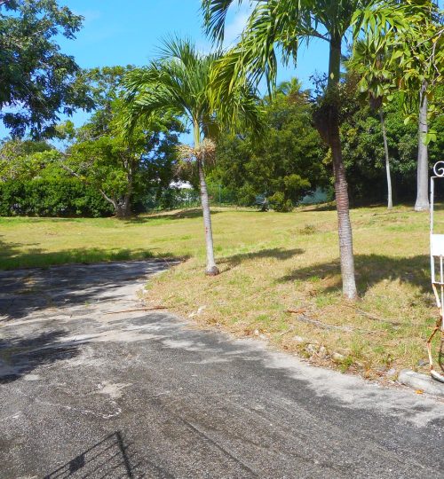 Sandy Lane No. 158 – Harbin Alleyne