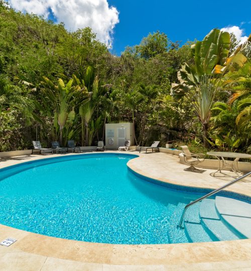 Golden Acre No. 11 D