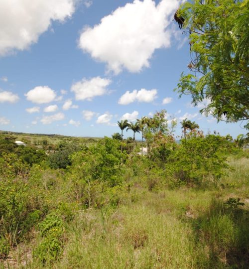 Westmoreland Lot 10 and 10A