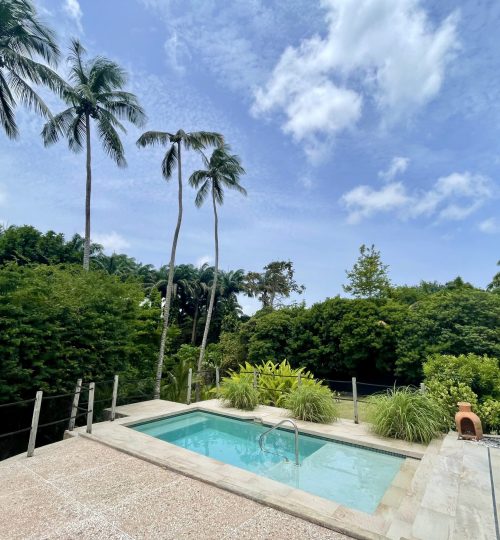 Gregg Farm – Palm View